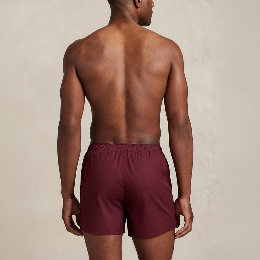 Polo Bear Baumwoll-Boxershorts Vandhlr 
